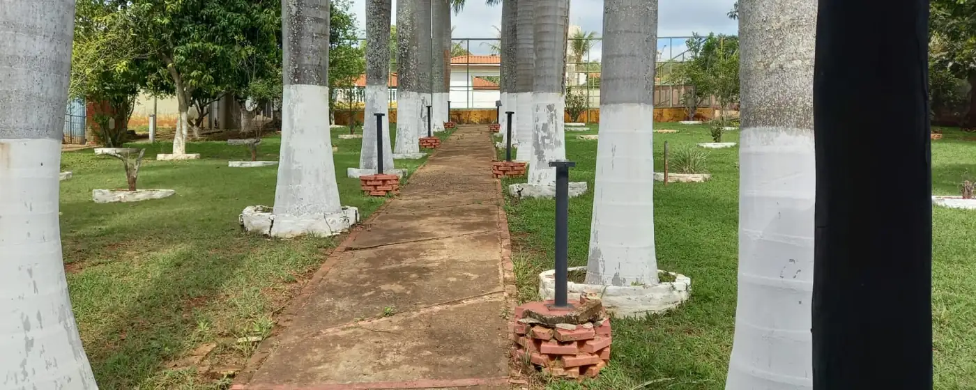 Gramado com árvores frutíferas na área externa da estrutura