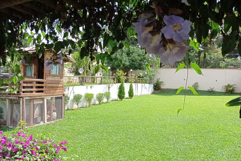Jardim florido na área externa da estrutura de tratamento